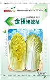 金福娃娃菜——白菜