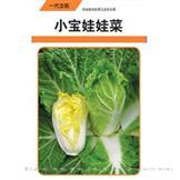 小宝娃娃菜——白菜