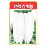 特级白玉春——萝卜