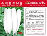 超级白玉春萝卜——萝卜