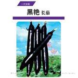 黑艳长茄——茄果