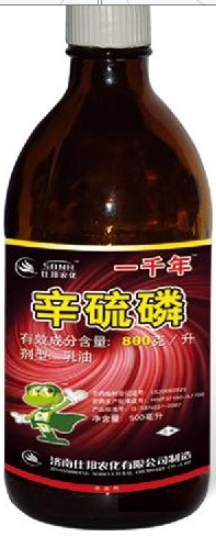 一千年-蒜蛆