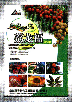 荔龙福