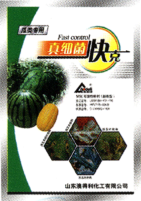 新生