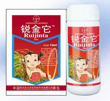 锐金它