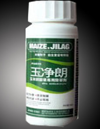 玉净朗