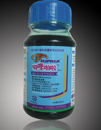 噼哩啪啦
