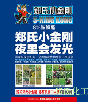 郑氏小金刚，夜里会发