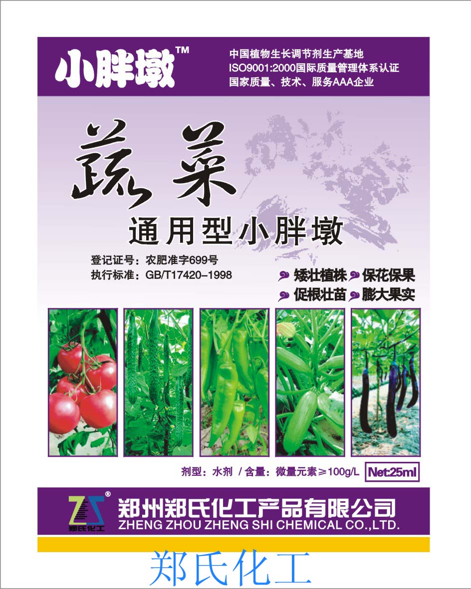 蔬菜通用型小胖墩