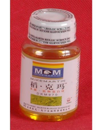 稻．克玛