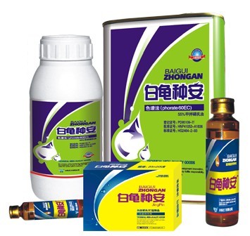 白龟种安