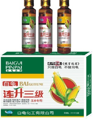 白龟连升三级
