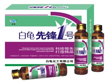 白龟先锋1号