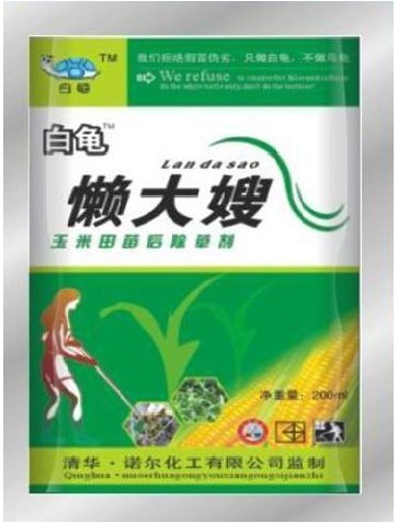 懒大嫂