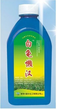 白龟懒汉