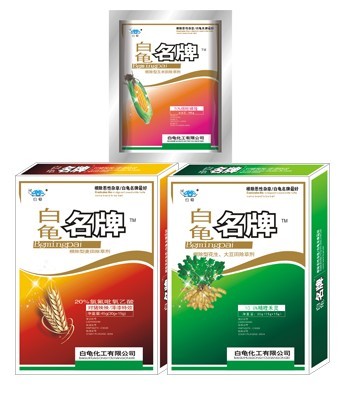 白龟名牌