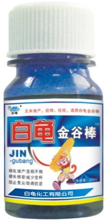 白龟金谷棒-玉米