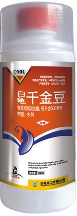 白龟千金豆