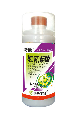 5%氯氰菊酯
