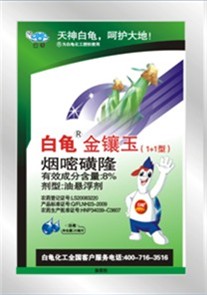 白龟金镶玉（1+1型）