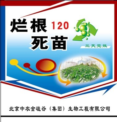 烂根死苗