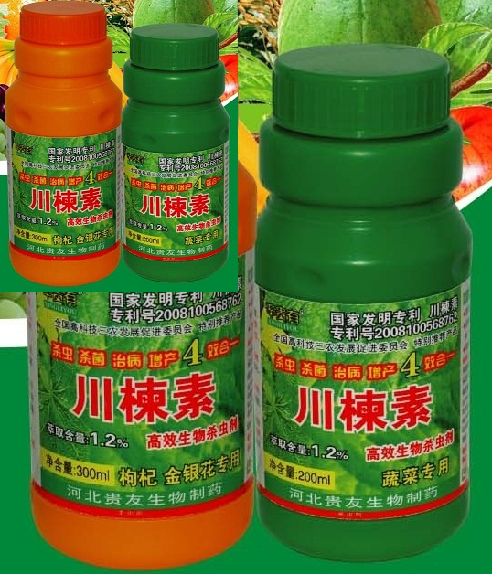 川楝素