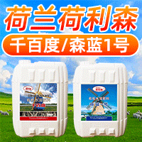 青岛国农惠进出口有限公司