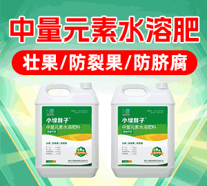 港尊博泰（北京）科技有限公司