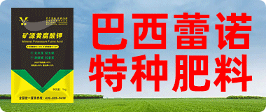 蕾诺（北京）生物科技有限公司