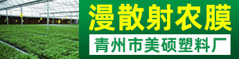 青州市美硕塑料厂