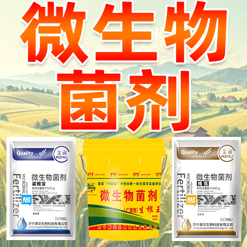 济宁康华生物科技有限公司