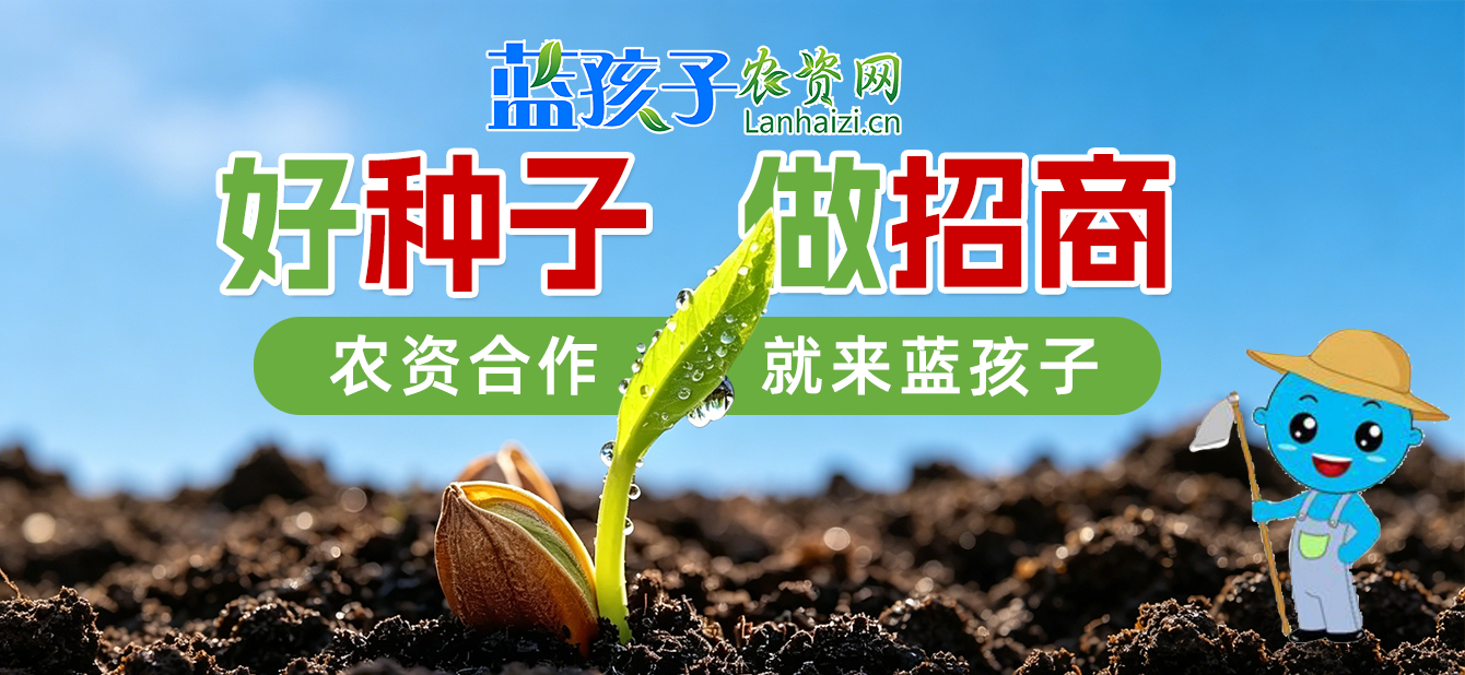 种子招商就上蓝孩子农资网