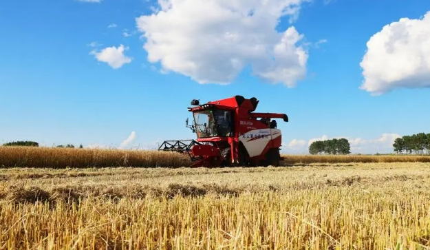 王秋梅：促进农民稳定增收至关重要