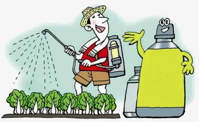 石榴坐果率低是什么原因？怎么防治？