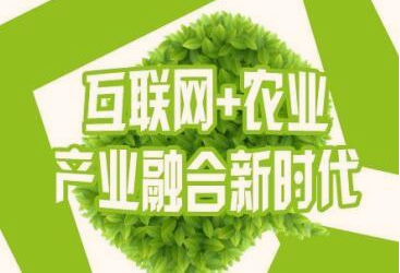 家庭 / 农资店种子正确储存方法