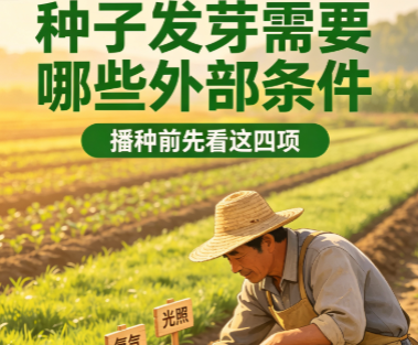 种子发芽的四大外部条件