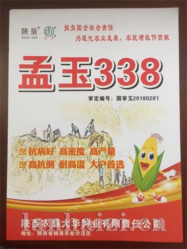 孟玉338-玉米种子