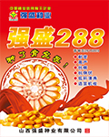 强盛288