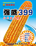 强盛399