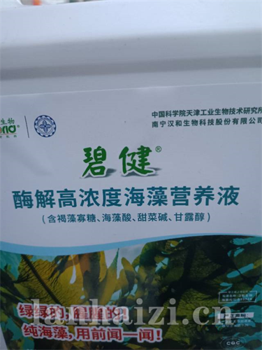 碧健