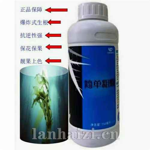 简单粗暴
