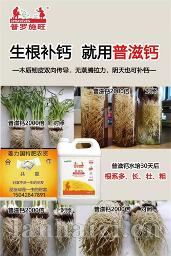 普滋钙