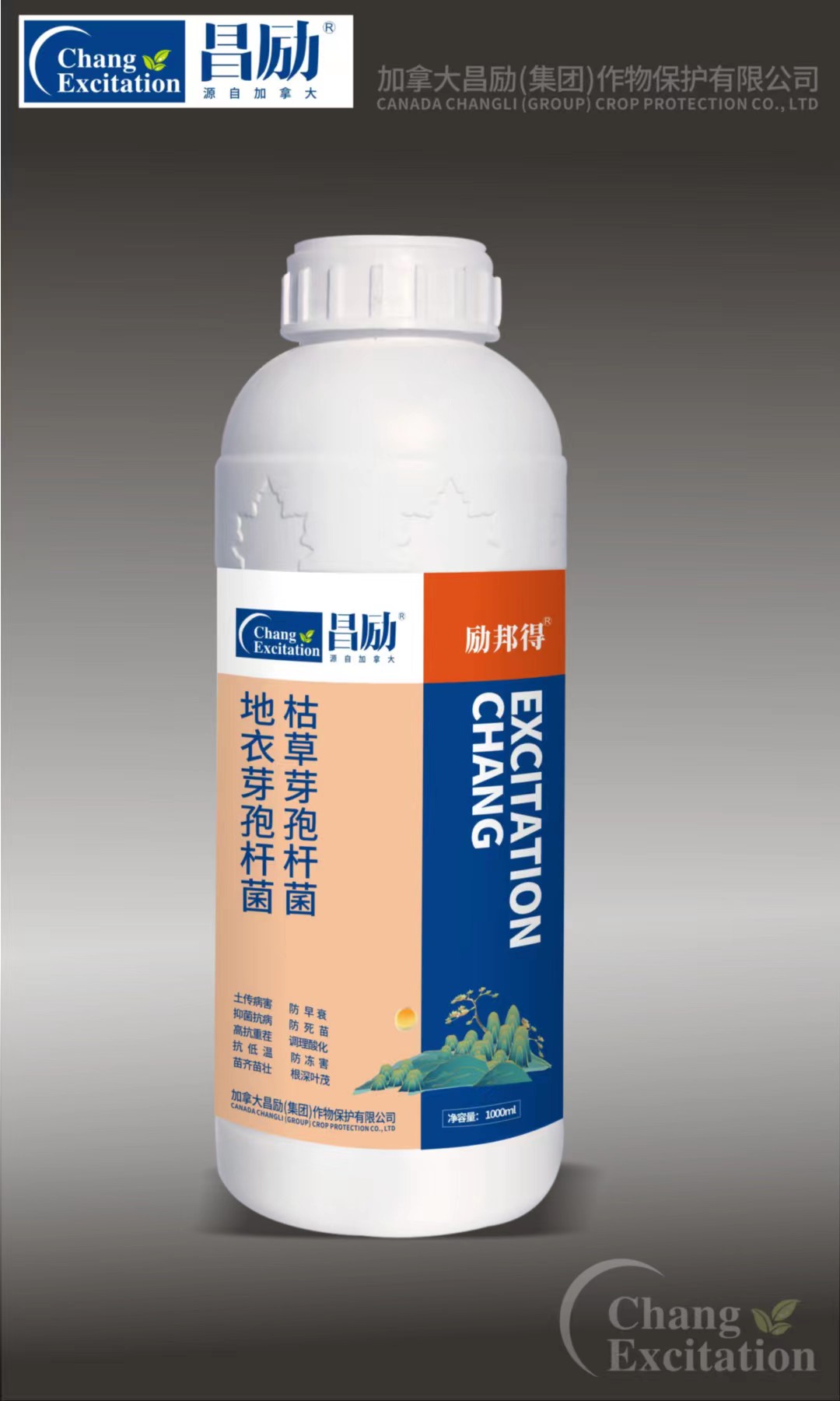 枯草芽孢杆菌