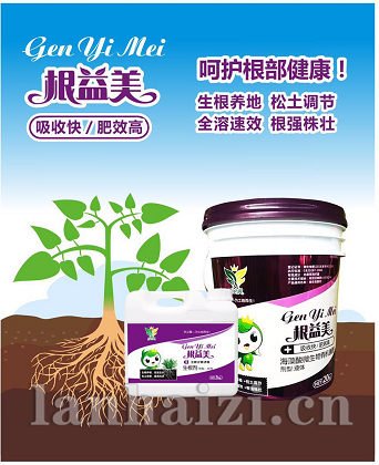 根益美