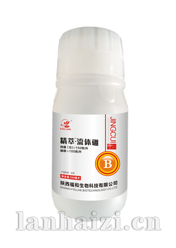 精粹硼