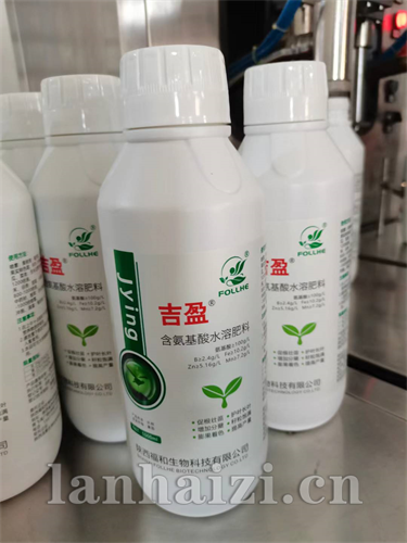 吉盈