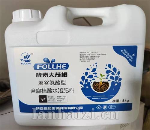 大茂根