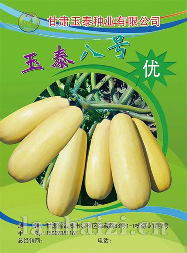 玉泰八号