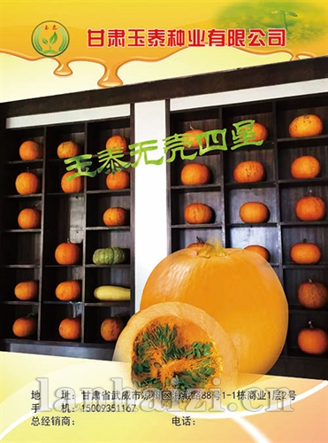 玉泰无壳四星