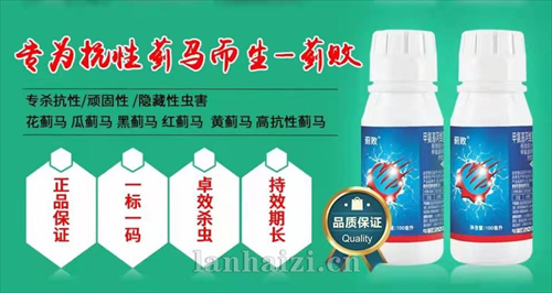 蓟败